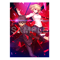 SHOPPING GUIDE 購入ガイド | MELTY BLOOD: TYPE LUMINA 